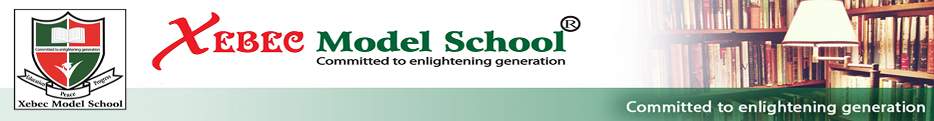 Bangladesh International School & College